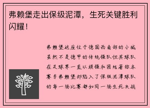 弗赖堡走出保级泥潭，生死关键胜利闪耀！